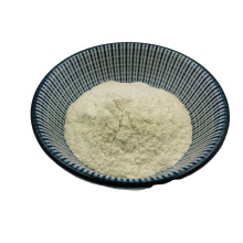 Hot sale of HACCP ISO22000 cerified probiotic powder lactobacillus powder probiotic Lactobacillus casei